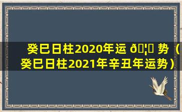 癸巳日柱2020年运 🦍 势（癸巳日柱2021年辛丑年运势）